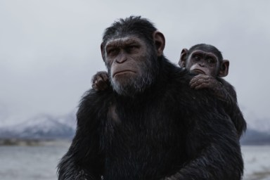 Kingdom of the Planet of the Apes: What Happened to Cornelius?