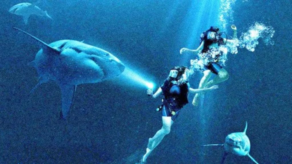 47 Meters Down: The Wreck Release Date Rumors: When Is It Coming Out?