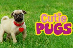 Cutie Pugs Season 1 Streaming: Watch & Stream Online via Amazon Prime Video