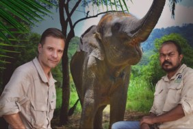 Jungle Animal Rescue Season 1 Streaming: Watch & Stream Online via Disney Plus
