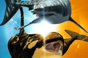 Killer Shark vs. Killer Whale Streaming: Watch & Stream Online via Disney Plus