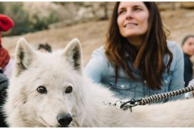 Medicine of the Wolf Streaming: Watch & Stream Online via Amazon Prime Video