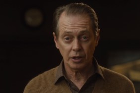 Steve Buscemi Attacked: Who Punched the Actor In New York?