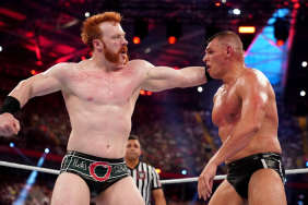 Sheamus and Gunther
