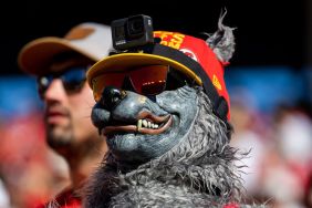 ChiefsAholic: A Wolf in Chiefs Clothing