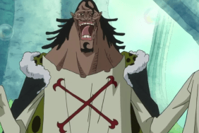One Piece: What Is Numa Numa No Mi?