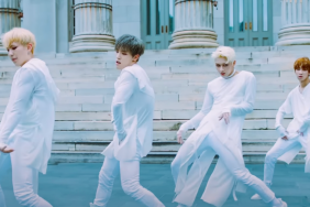 Seventeen's performance unit songs explored