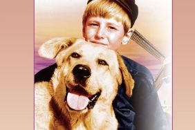 A Dog of Flanders (1959) Streaming: Watch & Stream Online via Amazon Prime Video & Peacock