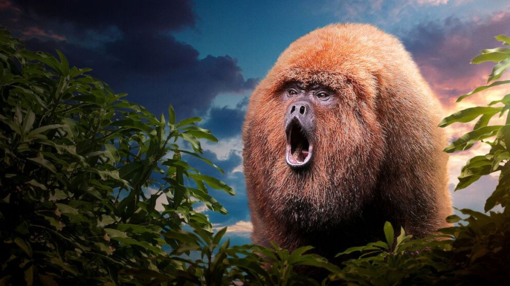 72 Dangerous Animals: Latin America Season 1 Streaming: Watch & Stream Online via Netflix