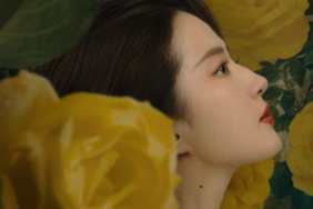 Liu Yifei in The Tale of Rose