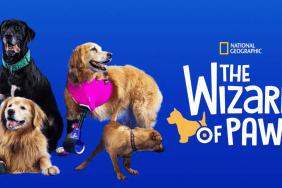 The Wizard of Paws Season 1 streaming