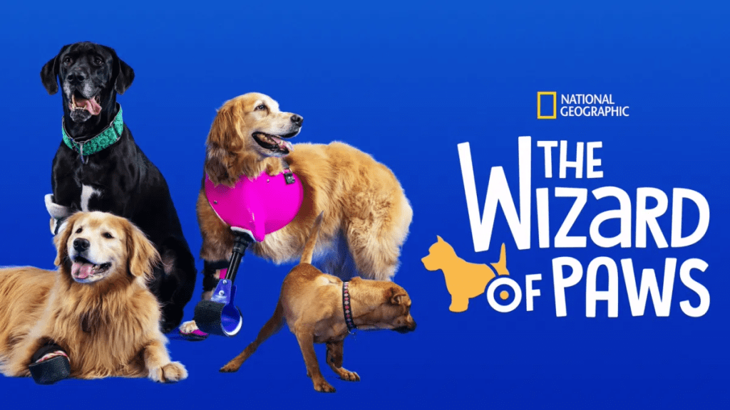 The Wizard of Paws season 1 Streaming: Watch & Stream Online via Disney Plus