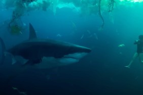 under paris movie shark netflix lawsuit