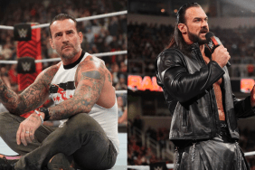 Will CM Punk interfere in Drew McIntyre's WWE Clash at the Castle 2024 match?