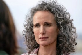 Andie MacDowell Net Worth 2024: How Much Money Does She Make?