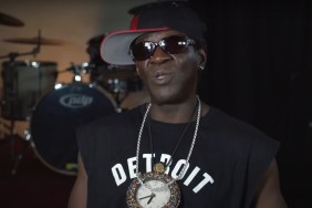 Flavor Flav Supports Selena Gomez Amid Backlash: 'The Woman Is So Brave'