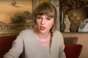 No, Taylor Swift Did Not Perform a Nazi Salute