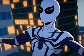 Your Friendly Neighborhood Spider-Man avengers cameos