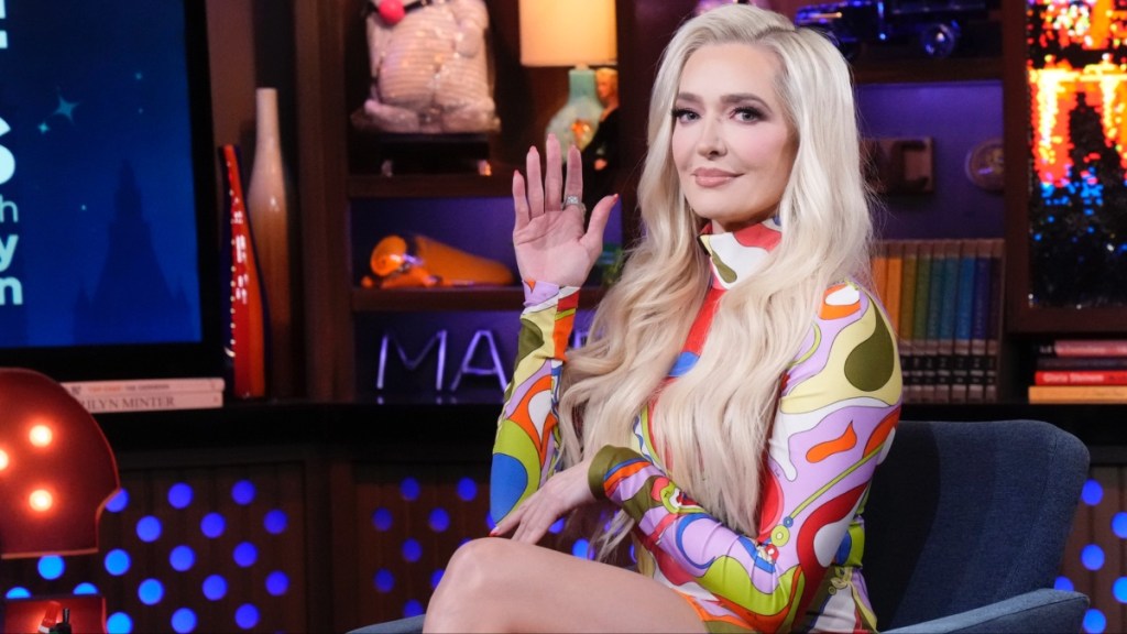 What Did Erika Jayne Say About Garcelle Beauvais Leaving RHOBH?