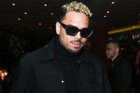 Chris Brown Ticket Prices 2025 Presale Breezy Tour XX How Much Ticket