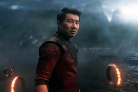 Simu Liu recently opened up about working with the cast of Avengers: Doomsday, especially Ian McKellen and Patrick Stewart.