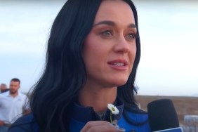 Wendy's Katy Perry Tweet Explained: What Did the Fast Food Chain Say?