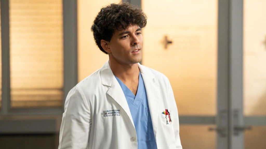 Grey’s Anatomy Season 21 Episode 17 Release Date, Time, Where to Watch