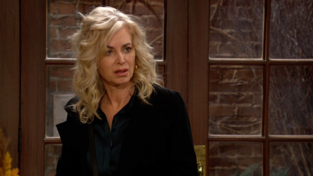 Why Young & Restless Fans Think Ashley Abbott Is Leaving?