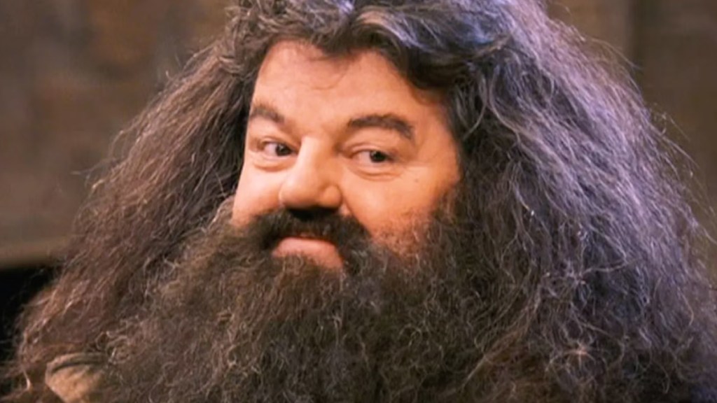 Harry Potter’s Nick Frost Isn't ‘Copying’ Robbie Coltrane’s Hagrid Performance