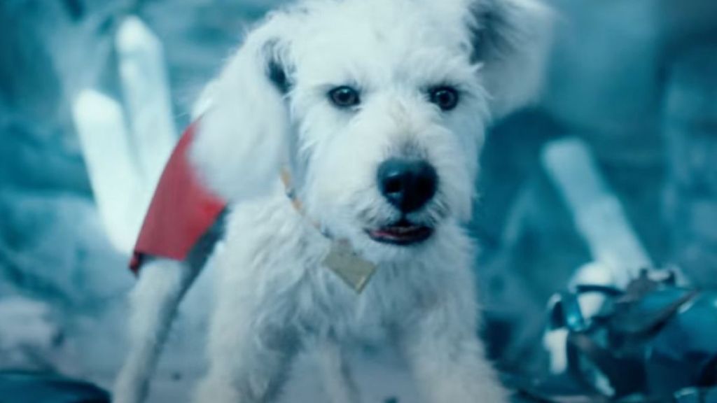 Krypto The Superdog Trend Goes Viral as Superman Inches Closer to Release