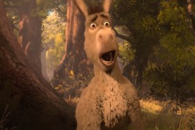 shrek 5 Donkey Spin-off movie release date