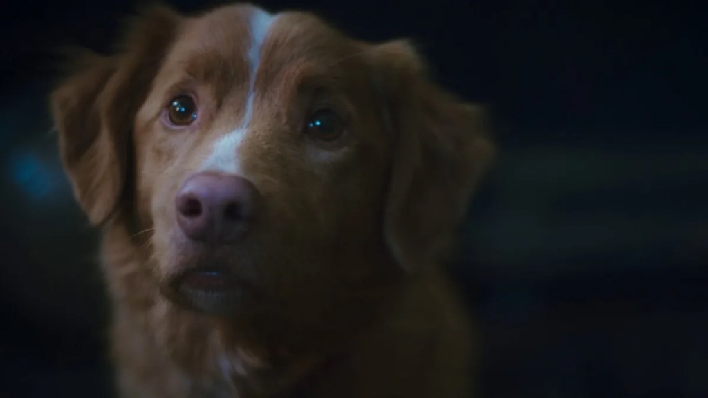 Good Boy to Receive Full Wide Release After the Viral Trailer