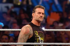 Why WWE Fans Think CM Punk Will Team Up With [Spoiler] Against Seth Rollins & Becky Lynch