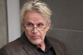 Gary Busey Receives 2 Years' Probation for Sexual Offense