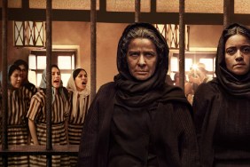Has The Dead Girls Season 2 Been Canceled or Renewed?