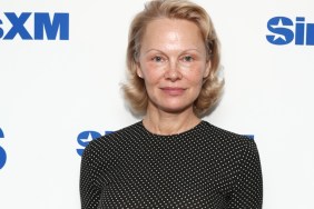 Pamela Anderson musical Guy Pearce Queen of the Falls