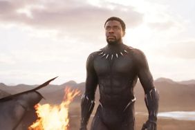 Chadwick Boseman Fans Are in Tears After Watching Marvel Zombies