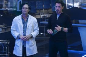 Mark Ruffalo Answers if He’d Follow Captain America or Iron Man’s Political Views
