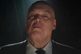 vincent d'onofrio swamp thing daredevil kingpin