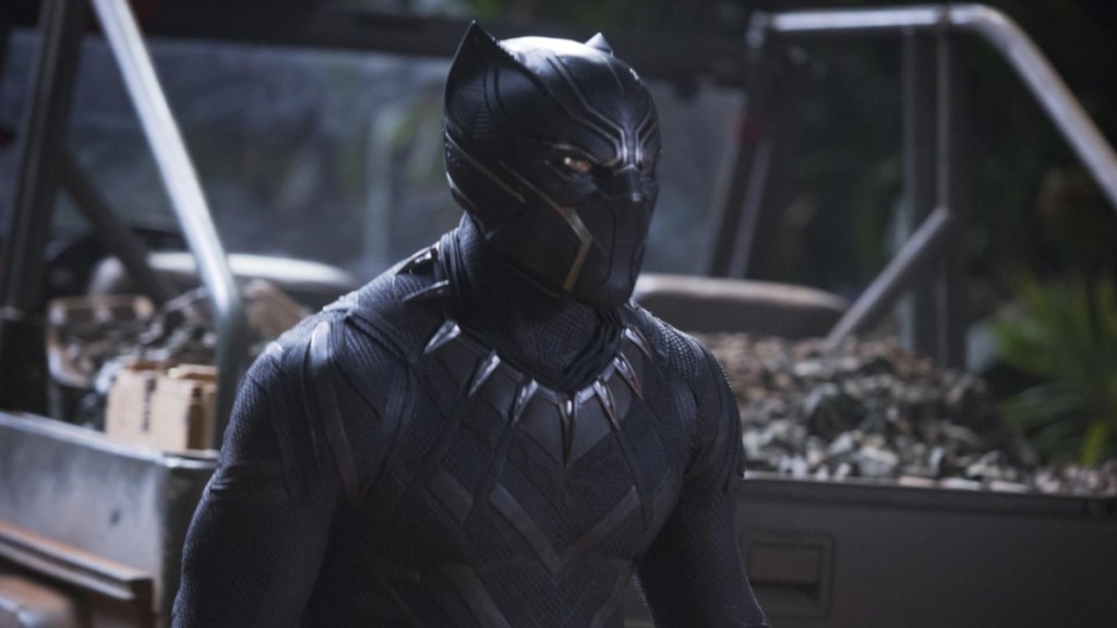 Marvel Fans Are Sure Chadwick Boseman’s Black Panther Replacement Is Found