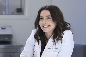 Why Grey's Anatomy Fans Think Amelia Shepherd Is Leaving
