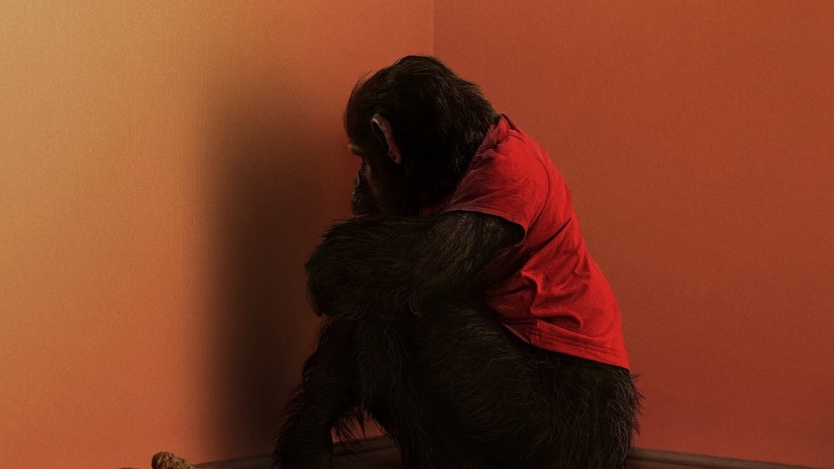 Rabid Chimpanzee Attacks Family in Terrifying Primate Trailer