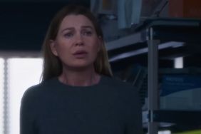 How Many Episodes Are in Grey's Anatomy Season 22 & When Do They Come Out?