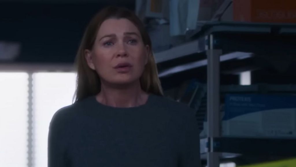 How Many Episodes Are in Grey's Anatomy Season 22 & When Do They Come Out?