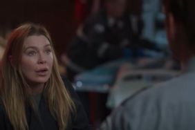 Grey's Anatomy Season 22 Episode 2 Release Date, Time, Where to Watch