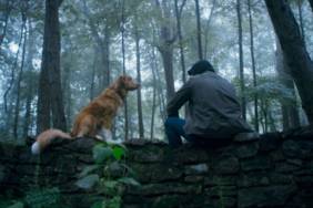 Good Boy Movie Ending Explained With Todd & Indy's Fates