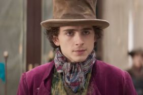 Highly Successful Timothée Chalamet Movie Coming to Netflix