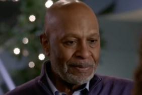 Why Fans Think Richard Will Die & James Pickens Jr. Is Leaving Grey's Anatomy