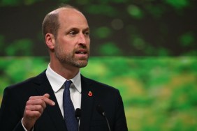 Prince William Makes DWTS Debut in Message to Robert Irwin