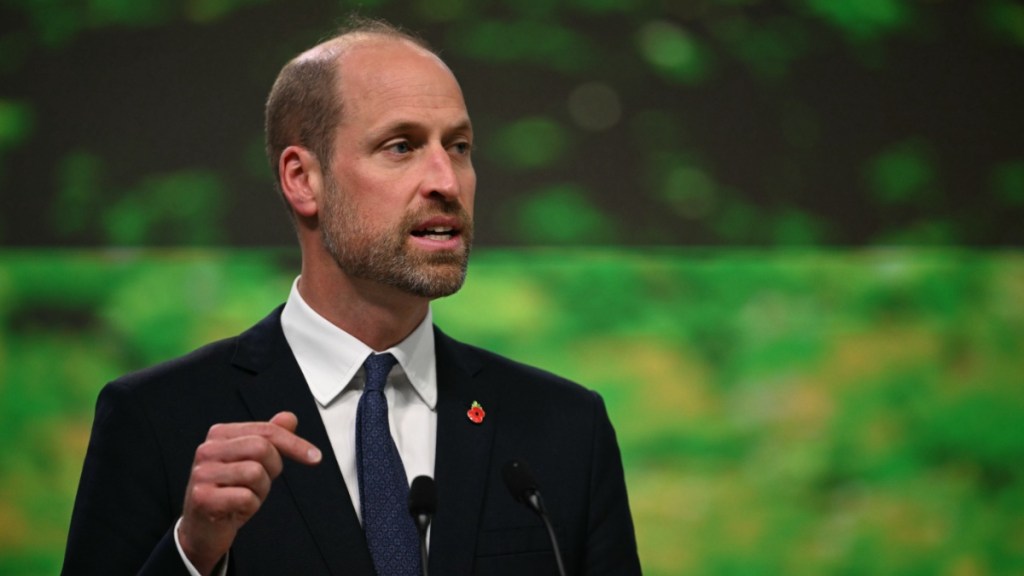 Prince William Makes DWTS Debut in Message to Robert Irwin